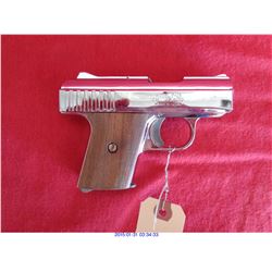 RAVEN ARMS P-25