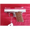 Image 2 : RAVEN ARMS P-25
