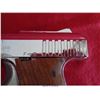 Image 7 : RAVEN ARMS P-25