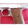Image 8 : RAVEN ARMS P-25