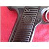 Image 9 : RUGER 22-45