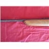 Image 8 : RANGER 103-2