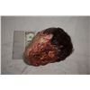 Image 1 : TRUE BLOOD CHOPPED OFF SEVERED HEAD WITH EXCELLENT GORE