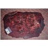 Image 1 : TRUE BLOOD DEAD VAMPIRE GORE & GUTS SPLATTER SCREEN MATCHED 1