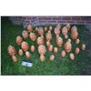 Image 1 : TRUMPKIN PATCH OF JACK ASS O LANTERNS