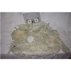 STARGATE ATLANTIS ALIEN SKIN?