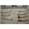 Image 1 : MARIJUANA REEFER JOINT ROACHES BONES