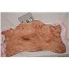 Image 1 : TRUE BLOOD WEARABLE SILICONE IMPALED OR SLASHED FULL TORSO APPLIANCE 3