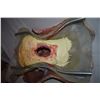 Image 2 : PROMETHEUS ALIEN HYBRID C-SECTION BIRTHING BUST