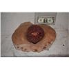 Image 1 : SEVERED SILICONE HEAD STUMP WITH BLOOD RIG