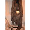 Image 3 : SKELETON NATIVE KING MASK WITH FABRIC OOAK
