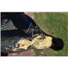 Image 9 : STARGATE 1994 SCREEN MATCHED HERO JAFFA MA'TOK STAFF WEAPON METAL LIVE FIRE VERSION