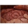 Image 2 : TRUE BLOOD WEARABLE SILICONE WOUNDS WITH SKIN FLAPS THAT REVEAL GUTS