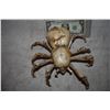 Image 2 : SKELETON SPIDER MAQUETTE MADE OF BABY BONES