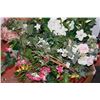 Image 1 : LARGE BOX WITH SILK FLOWERS , VASES AND MORE