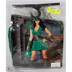 ROBYN DA HOOD COSTUME SIZE MEDIUM INCL DRESS