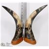 PAIR OF ORNATELY CARVED BULL HORNS