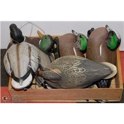 BOX OF DUCK DECOYS INCL MALLARDS
