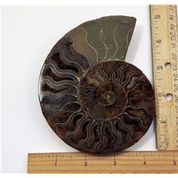 #11 - HUGE NATURAL AMMONITE FOSSIL SPECIMEN