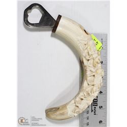 CARVED BOAR TUSK BOTTLE OPENER.