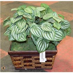 PLANT WITH METAL  PLANTER