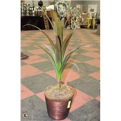 MINI TREE WITH WICKER PLANTER