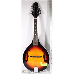 MANDOLIN STARSUN M10-VS-