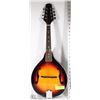 Image 1 : MANDOLIN STARSUN M10-VS-
