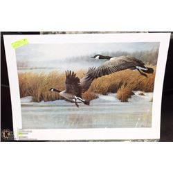 SIGNED, LTD EDITION PRINT BY MARLA WILSON -