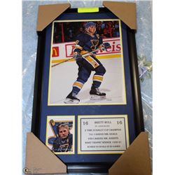 BRETT HULL #16  HOCKEY CARD