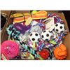 Image 1 : LARGE LOT OF DOG TOYS