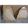Image 1 : TWO SLABS OF MAPLE