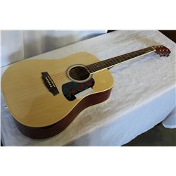 RIVERTONE ACOUSTIC GUITAR