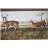 Image 2 : OUT OF THE FOREST BY MARLA WILSON #24389