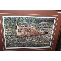 STICKS AND STONES YOUNG COUGARS BY A CASEY #23975