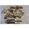 Image 1 : BAG OF FOSSILS AND WATCH AND DIGITAL CAMERA