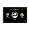 Image 1 : 1990 Panda Premier Tri Metallic Coin Set