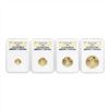 Image 2 : 2010 American Gold Eagle (4) Coin Set NGC MS70 Early Release