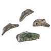 Image 1 : 5th Century BC Sarmatia Olbia Cast Bronze Ancient Dolphin Coins