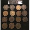 Image 1 : (15) Mixed Date Indian Head Cents grading good or better.