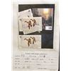 Image 1 : (5) No. 3 Iowa Migratory Waterfowl Stamps from 1974, only three are signed and the owner of this est