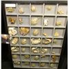 Image 2 : Nice collection of various types of Crabs in a glass-faced frame measuring 12" x 16" x 1". Contains 