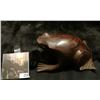 Image 2 : Hand carved Walnut or Iron Wood Frog with glass eyes, 3.5" x 4".