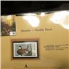 Image 2 : 1997 Nevada $5 Waterfowl Stamp, Ruddy Duck, Mint, unused, in original holder with literature.