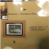 Image 2 : 1997 Vermont $5.00 Waterfowl Stamp, Northern Pintail, Mint, unused, in original holder with literatu