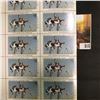 Image 2 : Strip of (20) Five Dollar 1980 Iowa Migratory Waterfowl Stamps depicting a pair of Redhead ducks. Mi