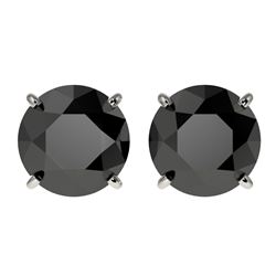 3.50 CTW Fancy Black VS Diamond Solitaire Stud Earrings 10K White Gold - REF-86M8F - 36700
