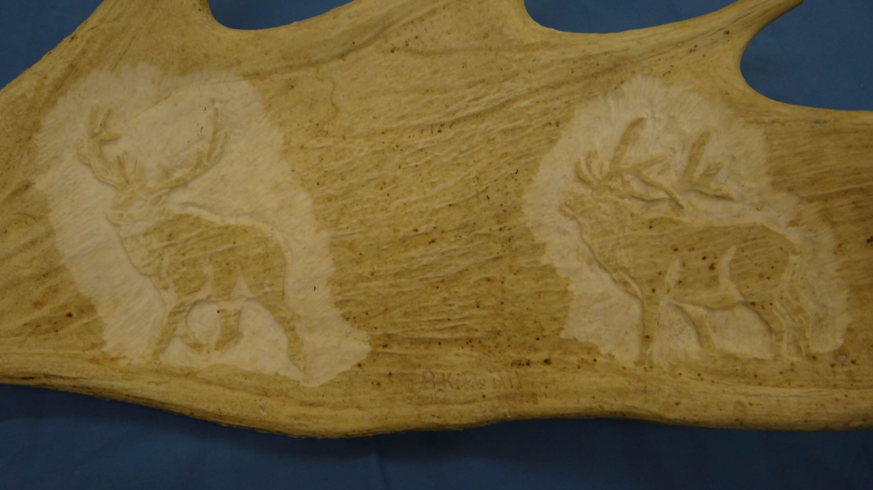 Carved moose antler, elk, B. K. Pettit