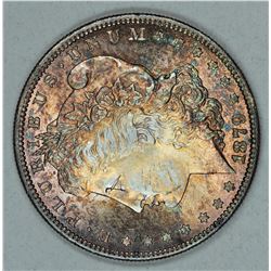 1879 S Morgan dollar, Toned MS64
