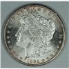 Image 1 : 1884 CC Morgan dollar, MS64